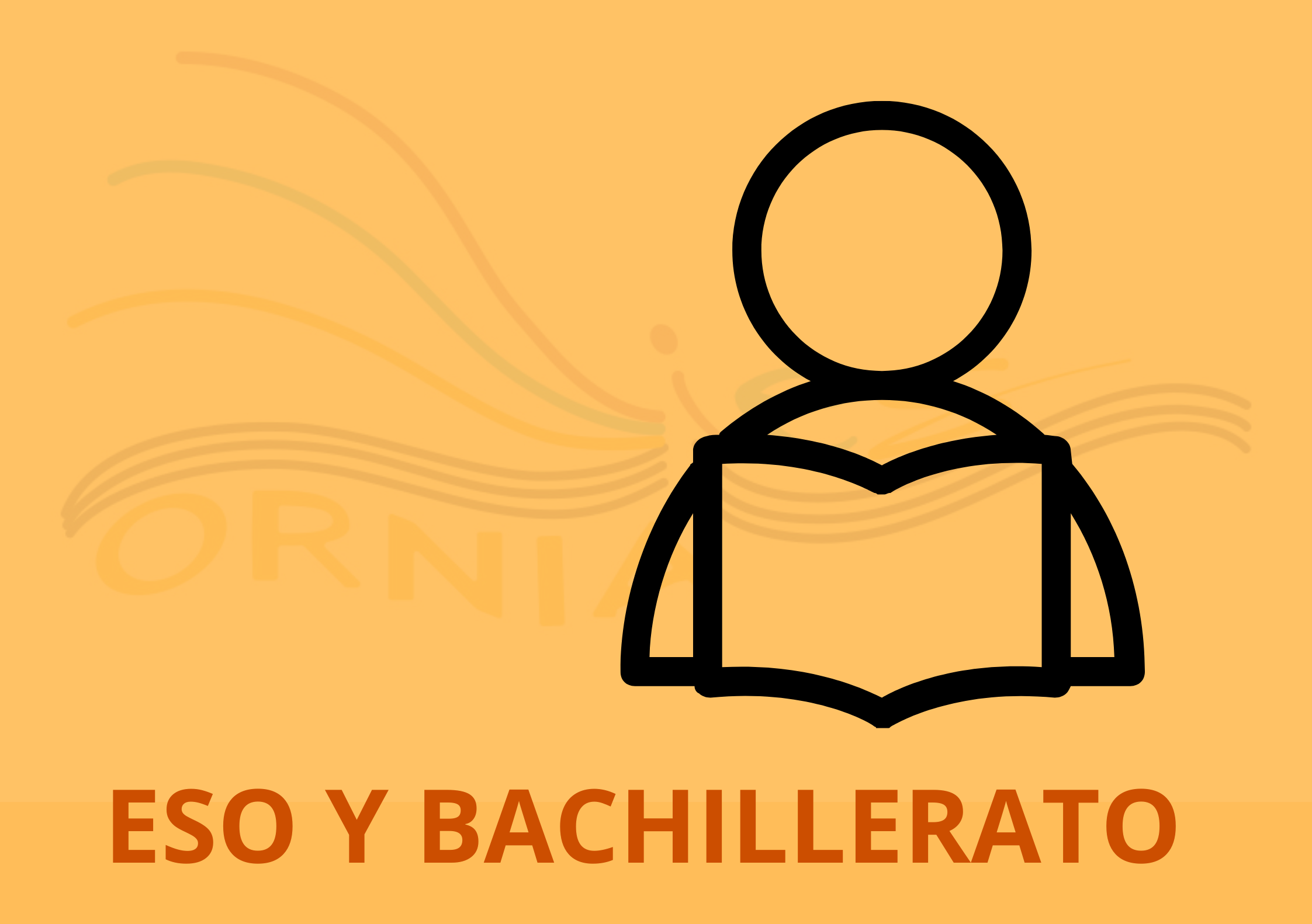 ALUMNOS ESO Y BACHILLERATO ALUMNOS ESO Y BACHILLERATO