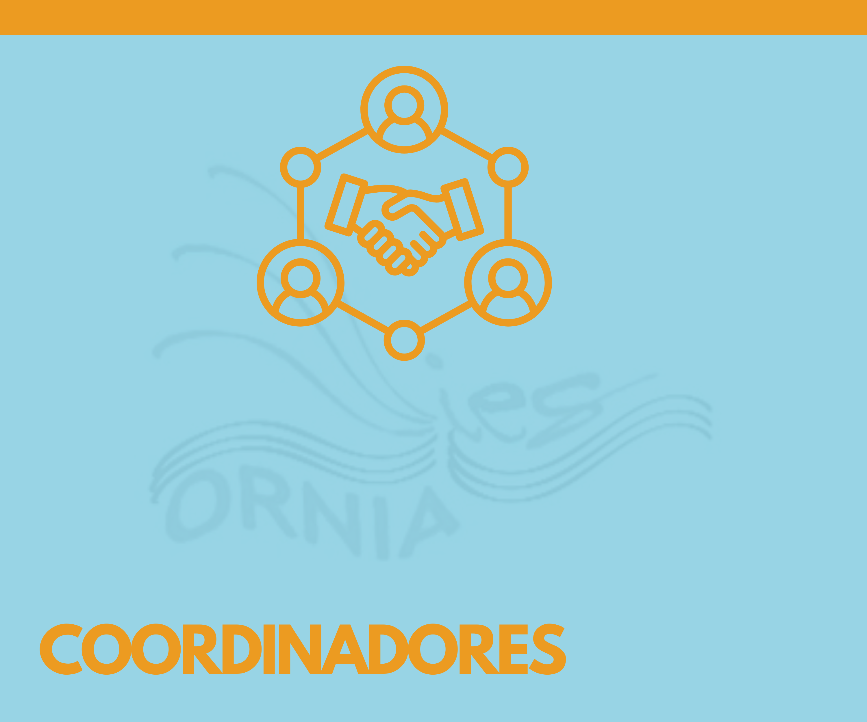 COORDINADORES