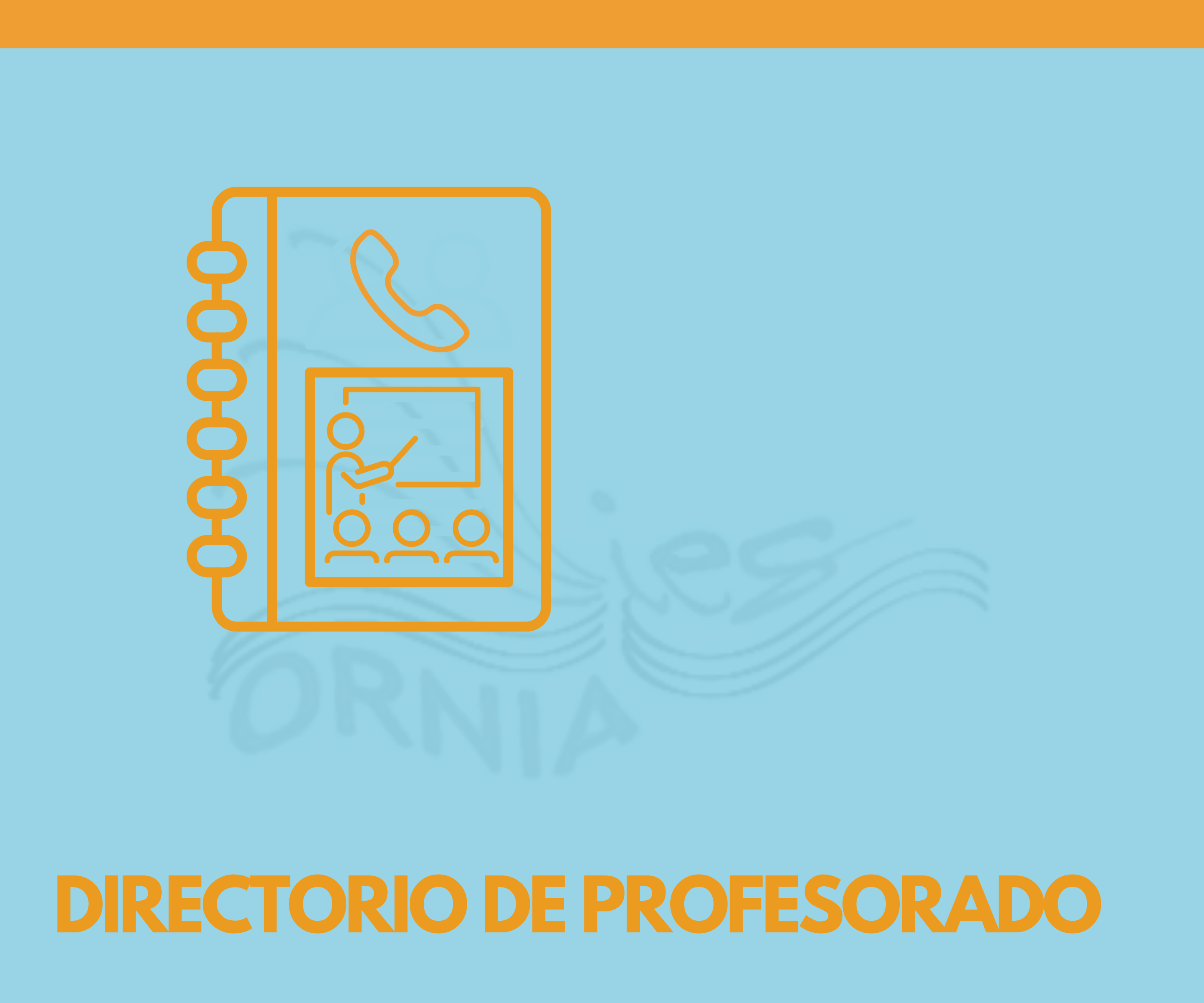 DIRECTORIO DEL PROFESORADO
