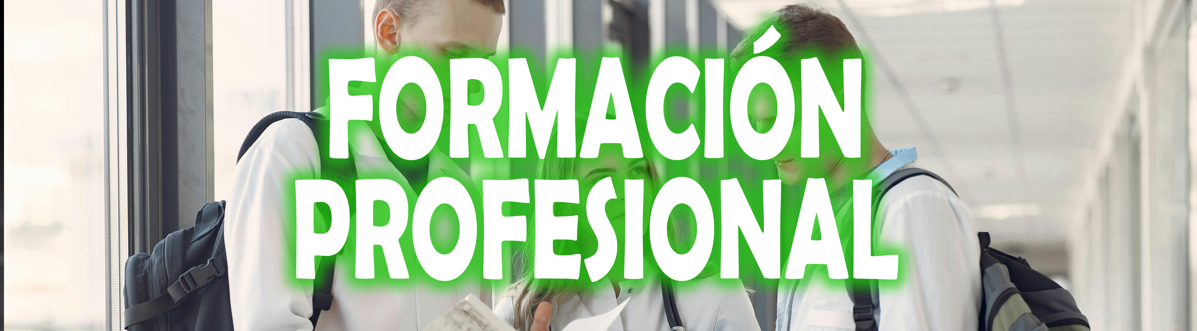 formacion profesional