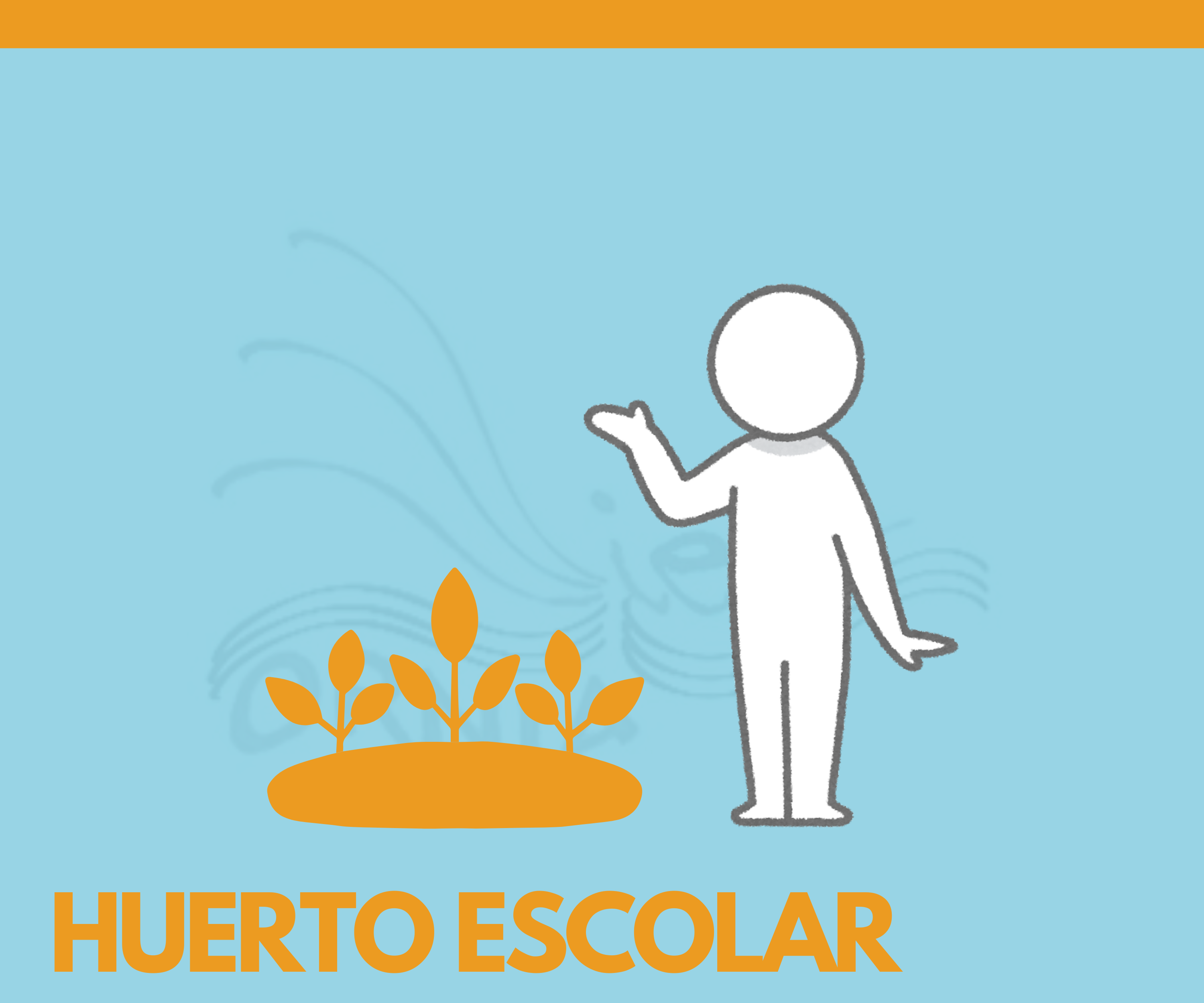 HUERTO ESCOLAR
