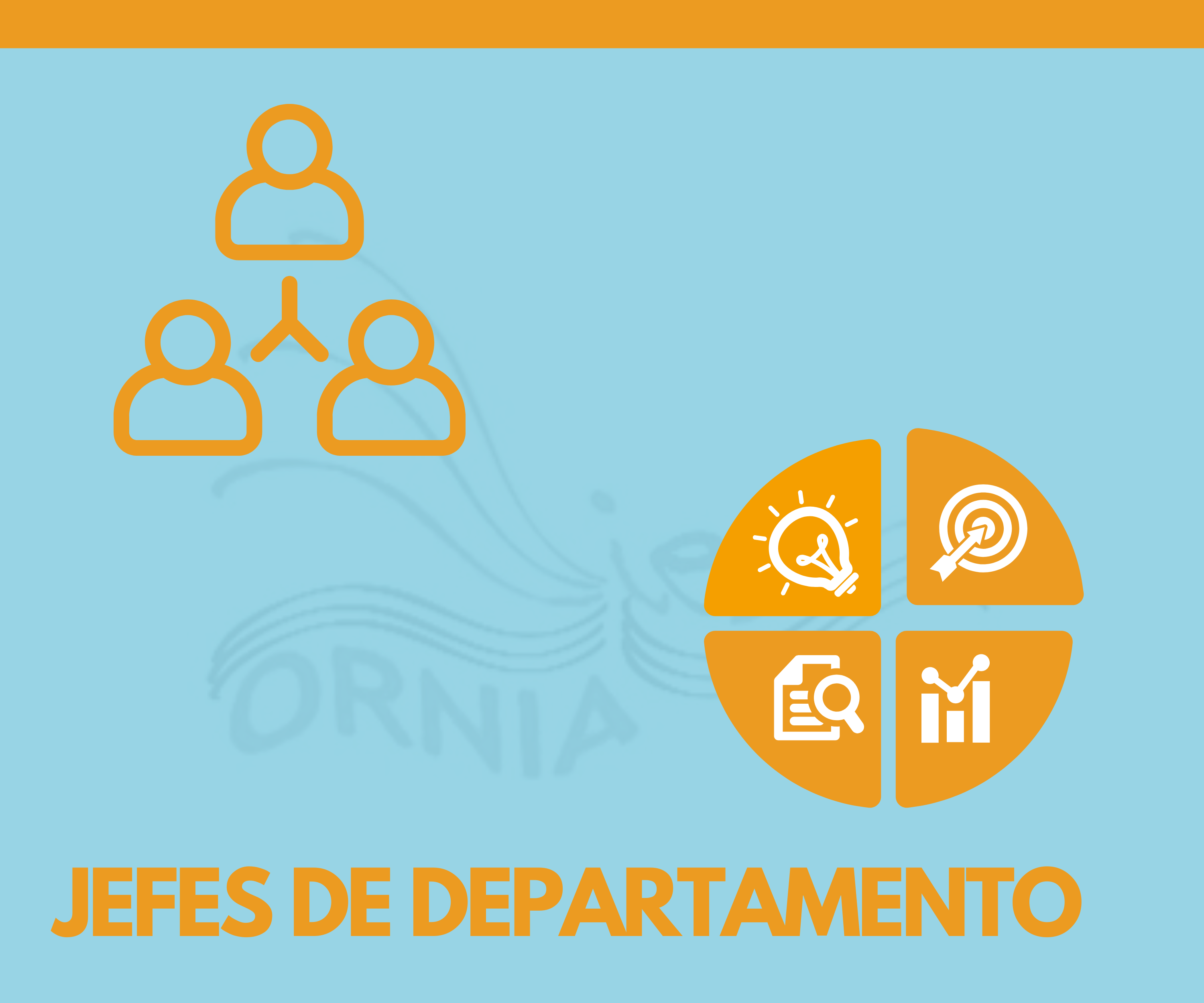 JEFES DE DEPARTAMENTO