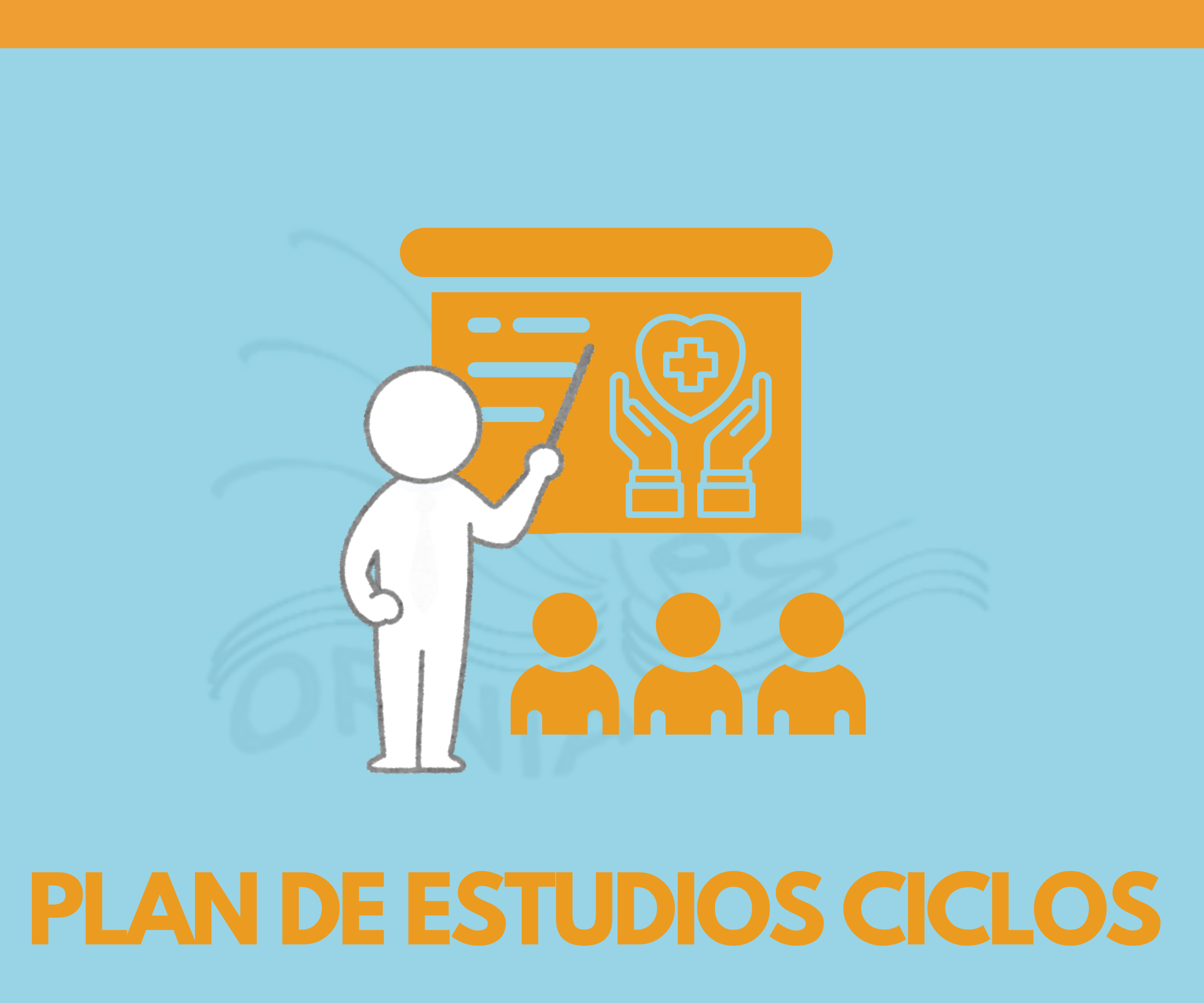 PLAN DE ESTUDIOS CICLOS